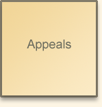 practice_area_appeals